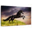 Friesian Horse On A Cliff-108906945