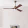 Kaytrin 130cm Ceiling Fan with LED Lights