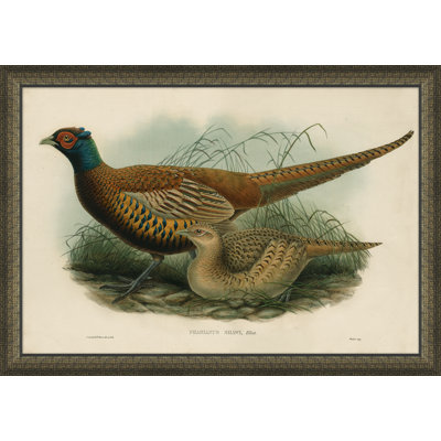 Gould Giclee Print by Soicher Marin Archives