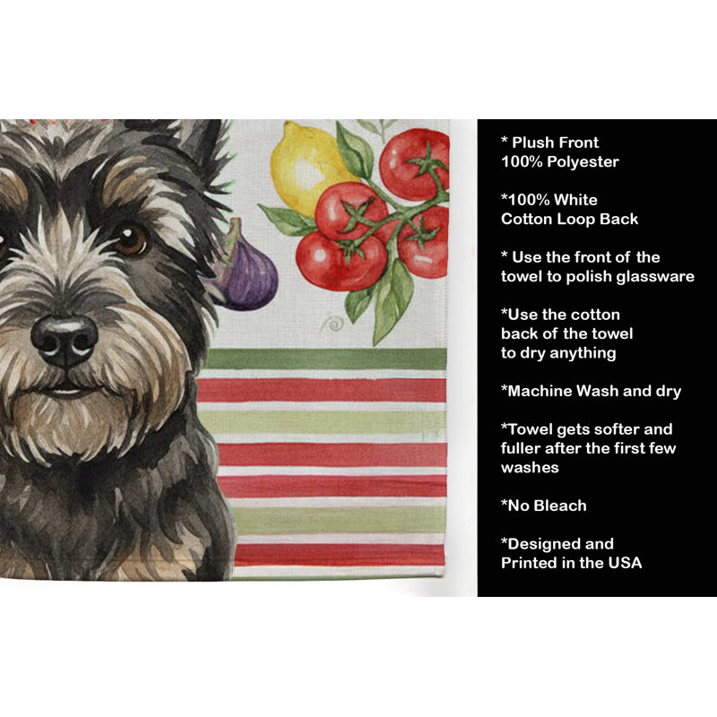 Torchon noir Cairn Terrier, Black Cairn Terrier