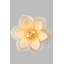 Lustre-409449155-409449157-409449154
