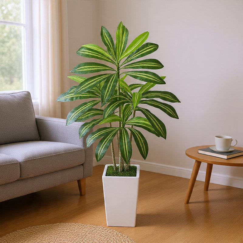 Dracaena artificiel Kren, pot à fleurs blanc, soie soyeuse réaliste 60 pouces, H 60 po x l 27,56 po x P 27,56 po, Noir