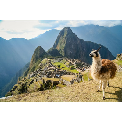 " Lama And Machu Picchu "