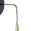 Tescott Iron LED Armed Sconce