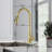 NOVEL Pull Down Kitchen Faucet-88959103