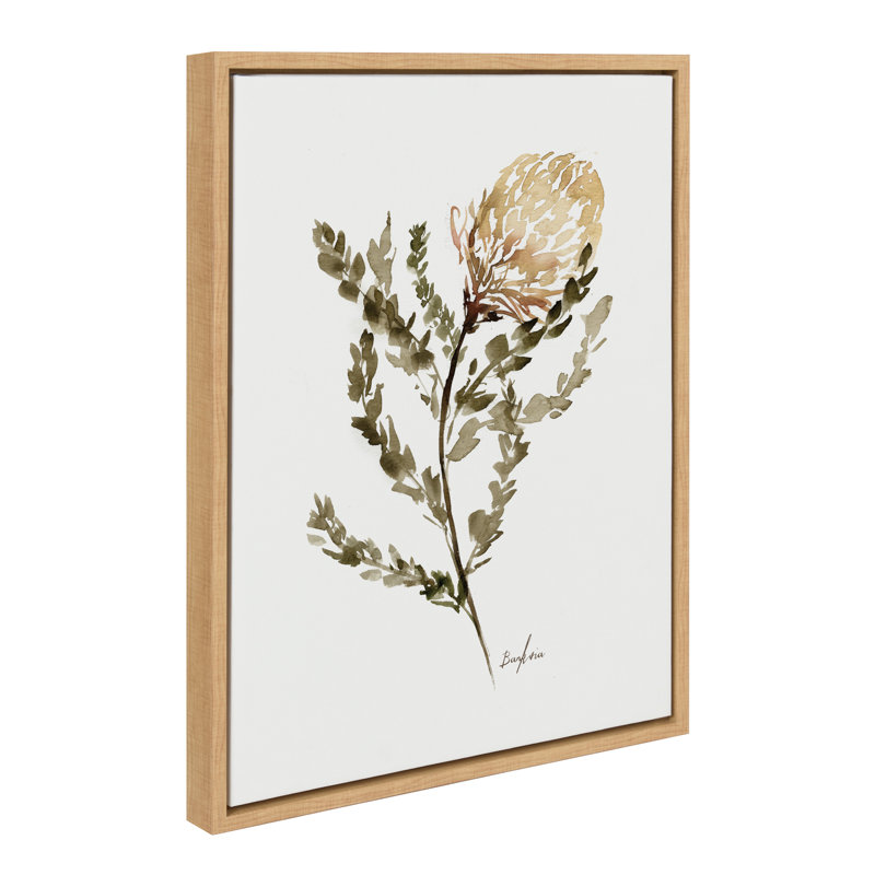«Wild Banksia» par Sara Berrenson, reproduction d'art sur toile encadrée