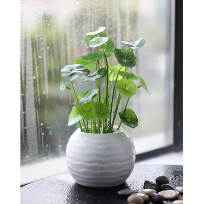 9.84'' Faux Fir Plant
