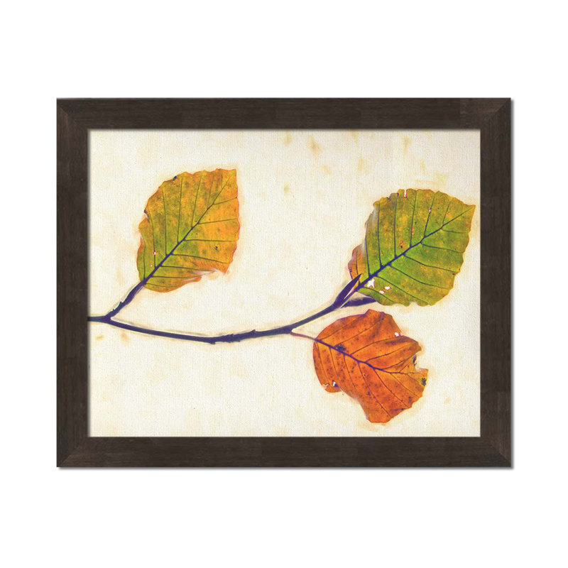 Gravure d'automne III par Hal Halli. Impression sur papier - Montée et encadrée, H 36 po x l 44 po
