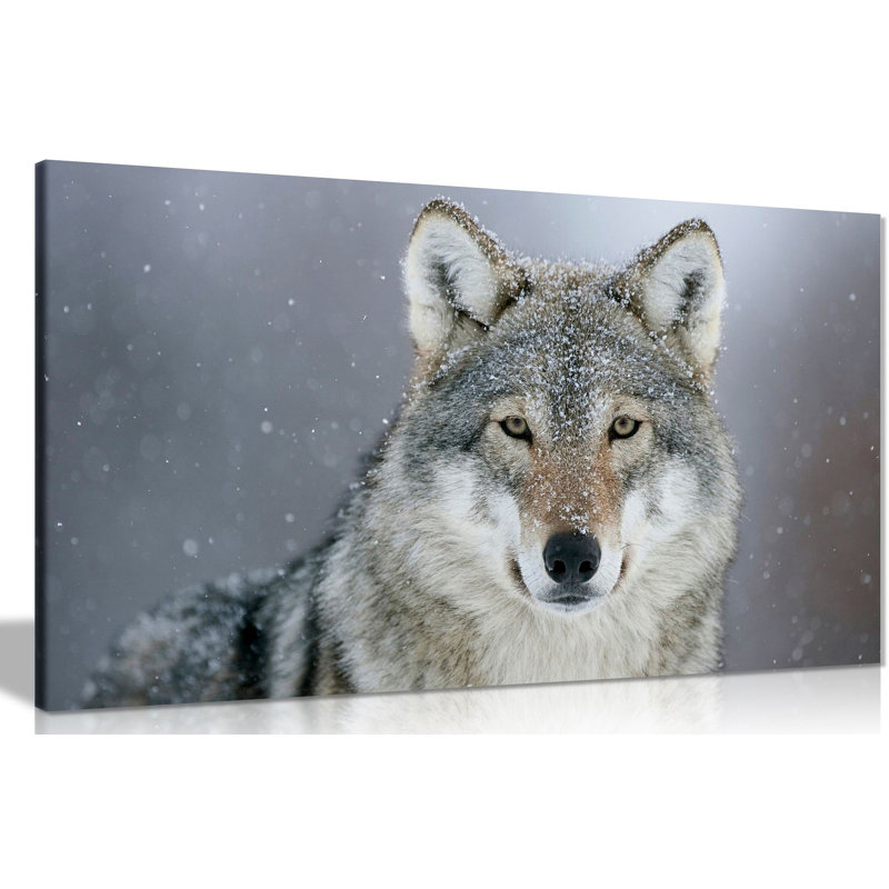 Snow Wolf - Wrapped Canvas Print
