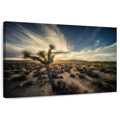 Harnek Clouds Over Desert Cactus