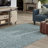 Renesha Indoor Rug-389645012