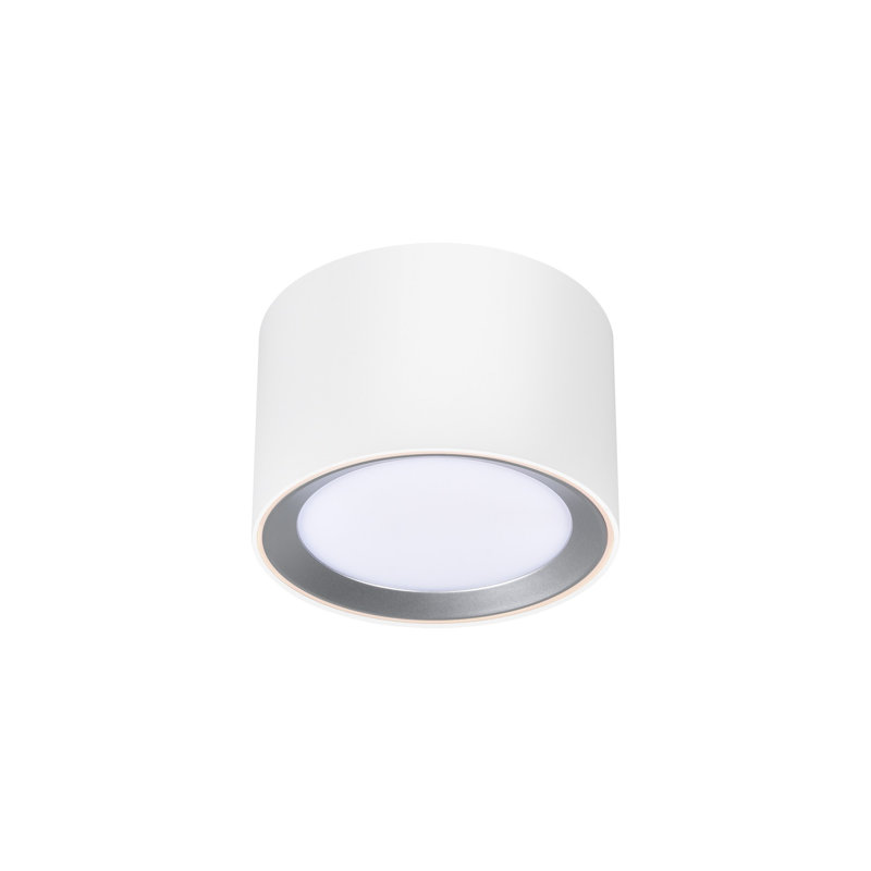 Flush Mount, White