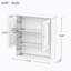 Miroir pour armoire à pharmacie à fixation en surface 21,65 po x l 22,83 po Purkey
