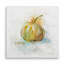 Oignon Veggie - reproduction sur toile-21774569
