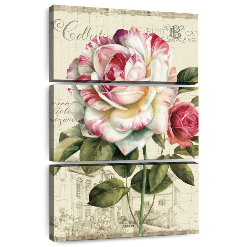 Rose Harnek Garden View, H 45 po x l 28 po