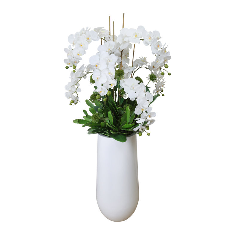Orchid and Allium Arranged in Planter