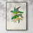 Lime&CeruleanParrotsII Framed Print - Solid Wood-470211400