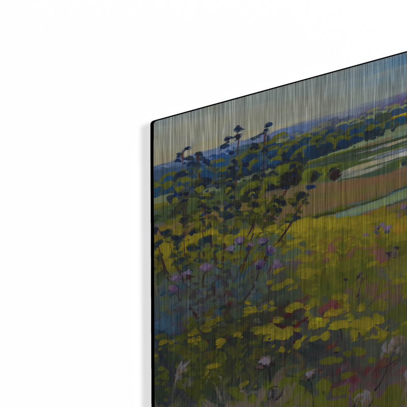 Art mural en métal Latitude Run® «Early Morning Golf Course View» par sri Rao, H 16 po x l 24 po
