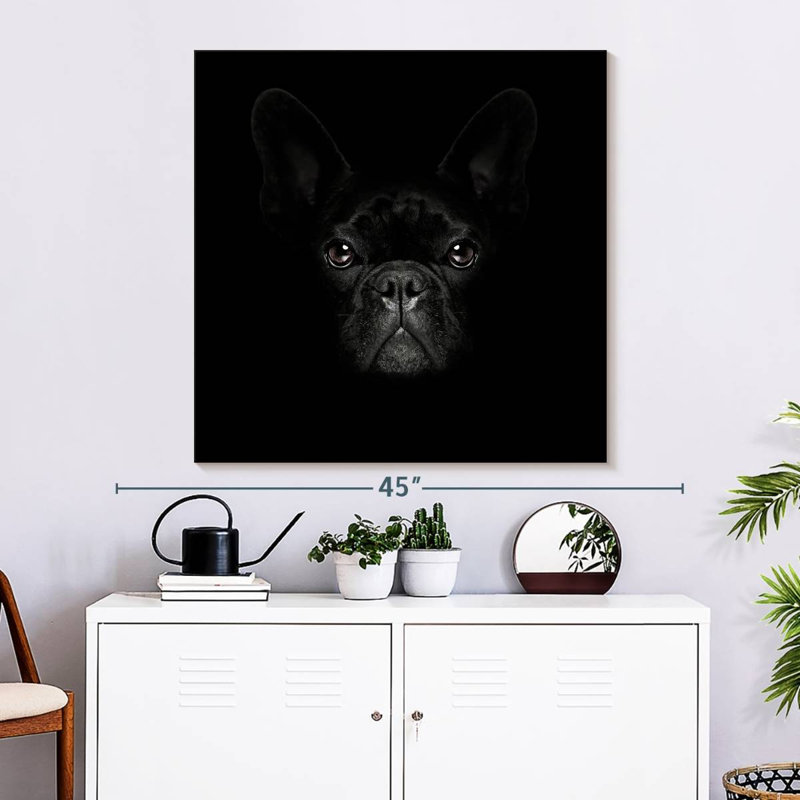 Crowle, bouledogue français mystérieux, H 33 po x l 33 po