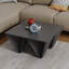 Haughton Coffee Table-1829769310