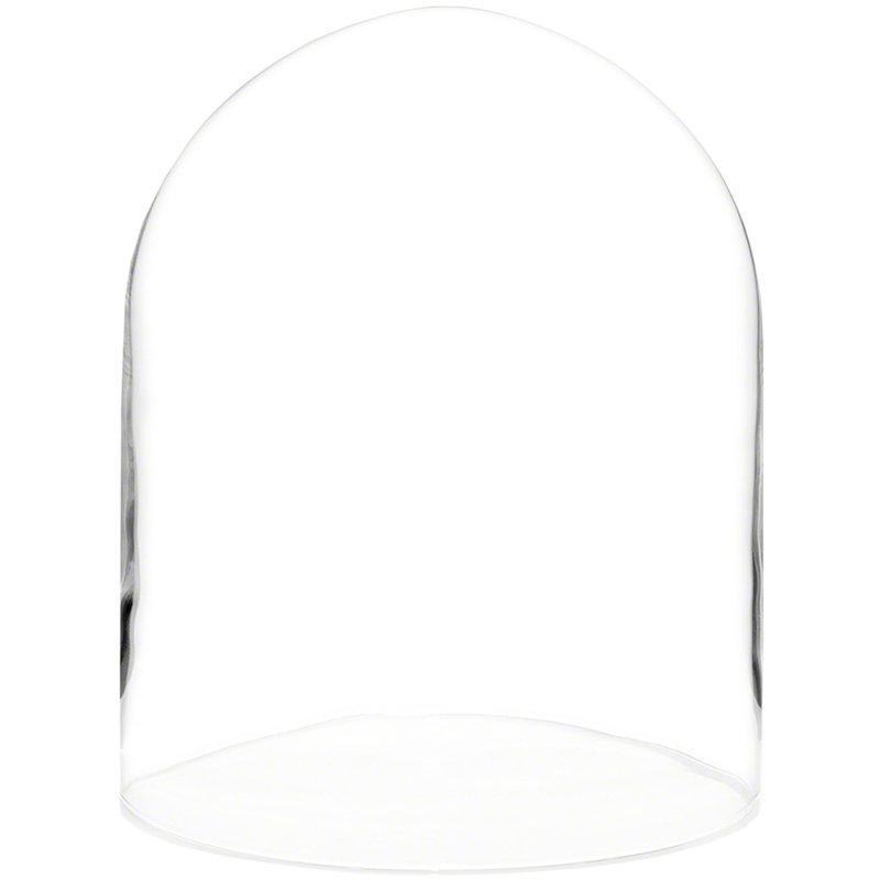 Cloche à dôme en verre 9,75 "x 15" Vucciria, 10.25" H x 8" W x 8" D, Base en placage de chêne