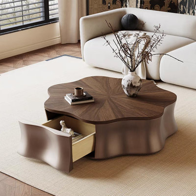 Table basse simple et rétro avec rangement