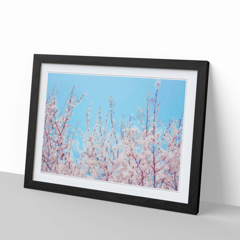 Top of the Blossom Tree in Abstract - Picture Frame Graphic Art Print, 50cm H x 76cm W x 2cm D, Black