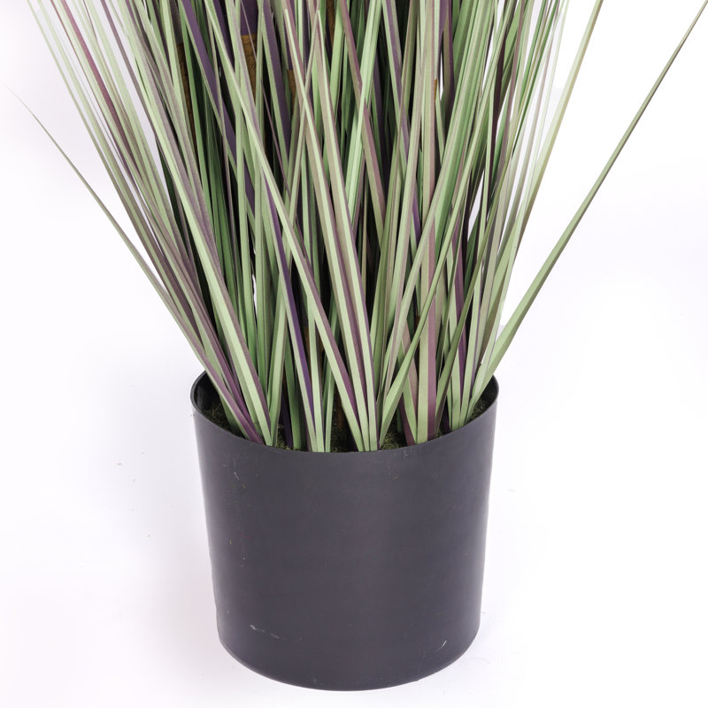 Fausse herbe de pampas 48 po