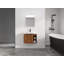 Meuble-lavabo mural peu encombrant avec caractéristiques haut de gamme