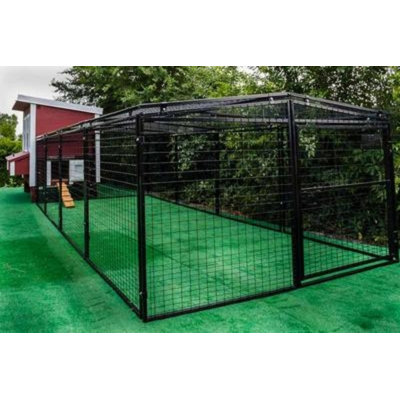 Automatic Chicken Coop Door