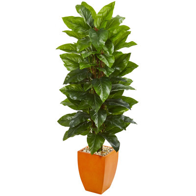 66'' Faux Philodendron Tree in Earthenware Planter