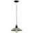 1 - Light Black Single Pendant-16183427