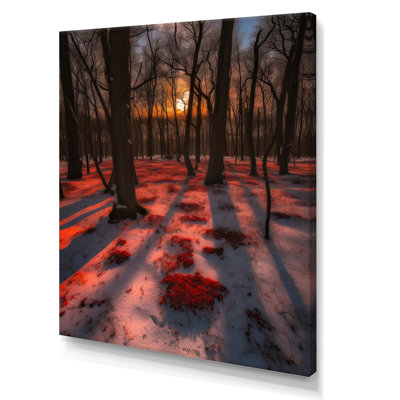 «Wintersun Shining Through Snowlit Trees I», reproduction sur toile