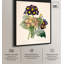 Toile Auricula Variétés par Art Remedy-112531894-112531895-113438658