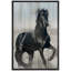 Impression sur toile, "Cadre de cheval noir"-73673698-74456411