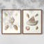 Pastel Knorr Shells VI - reproduction encadrée de qualité supérieure - prête à être accrochée - aucun clou requis - aucun clou requis-171660191-171660164