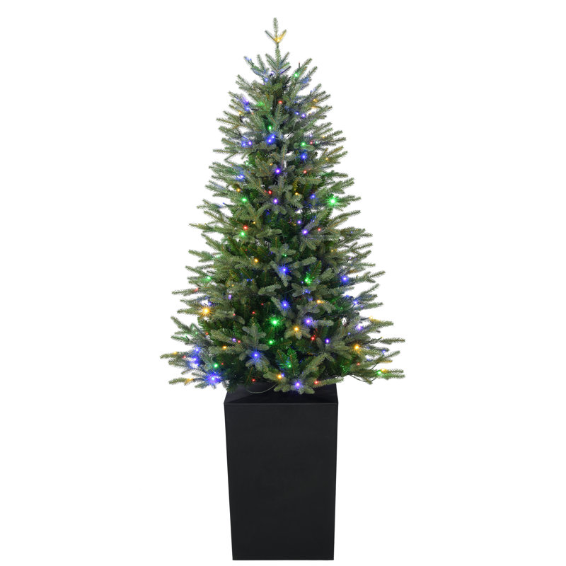 Sapin de Noël illuminé 80,3 pi