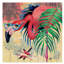 Reproduction sur toile tendue «Cool Flameoes» de Conagher-30365529