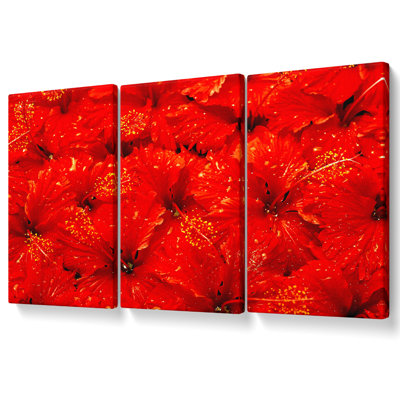 An Ocean Of Red Leaves - 3 Piece Wrapped Canvas Print