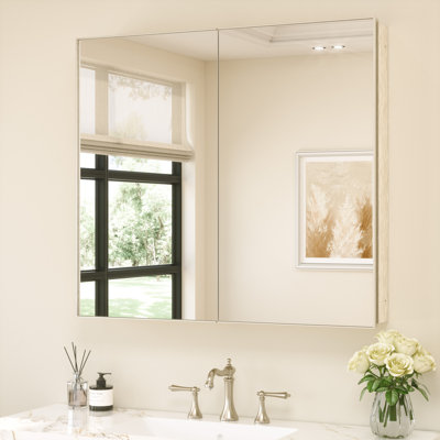 Recessed Or Surface Mount Aluminum Framed Medicine Cabinet With Mirrored Door And Adjustable Shelves