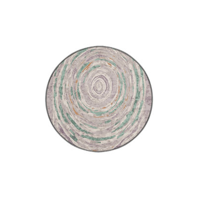 Machine Washable Gray Area Rug
