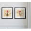 Red Calla Lily - ensemble de 2 reproductions de cadres photo-1420209310