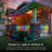 Outdoor 12 - Bulb Plug-in LED String Light