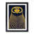 Black Framed selected