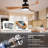 Geremias 52'' Ceiling Fan with LED Lights