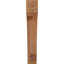 Attelle impériale du genou-29309856-31229299-31229279
