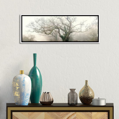 " Panoramic Octopus Ghost Oak " by Philippe Manguin