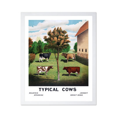 Vaches typiques