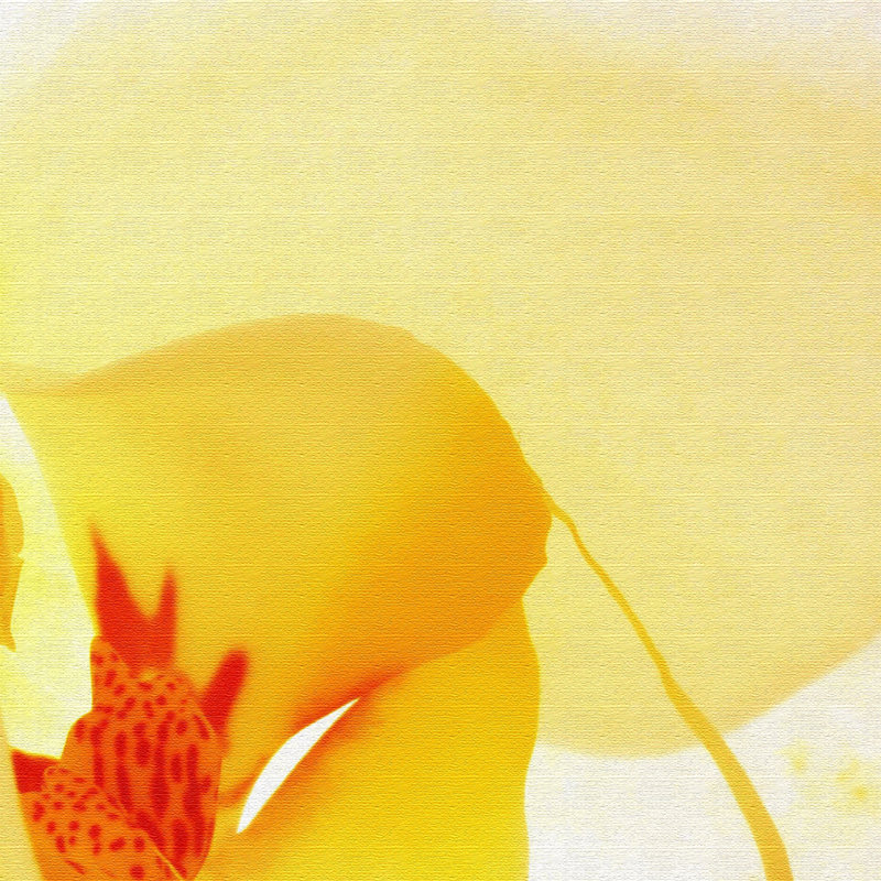 Print on Canvas, 100cm H x 150cm W x 2cm D
