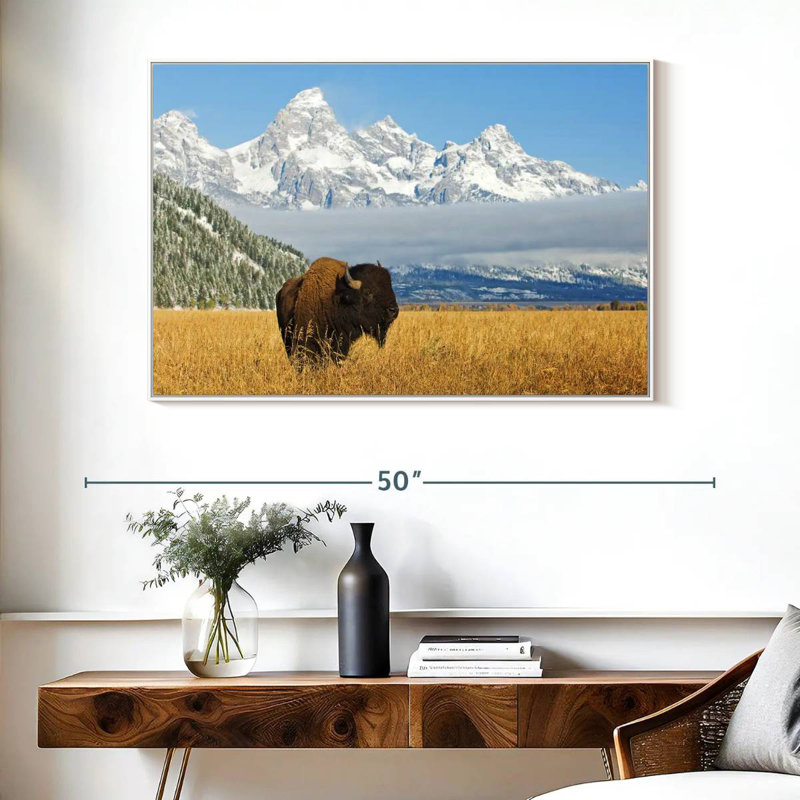 Grand Teton Bison Bull, Floating Frame White, 40" X 27"